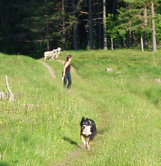 Lena & Skorpan p vg frn avslutad trning. h vilken vacker hage!