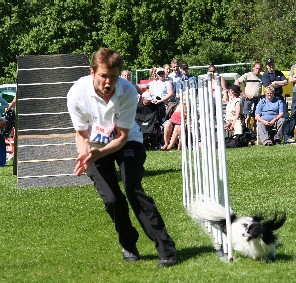 Ettan var kanonduktig och gjorde 6 nollade lopp på SM - vilket räckte till individuellt brons och 4.e plats med laget. Foto: Mette Björne