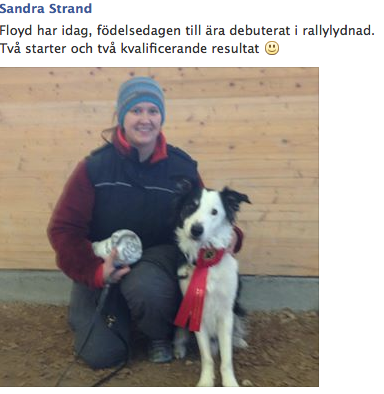 floyd_rallylydnad